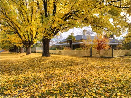 Beechworth - VIC SQ (PBH3 00 34579)